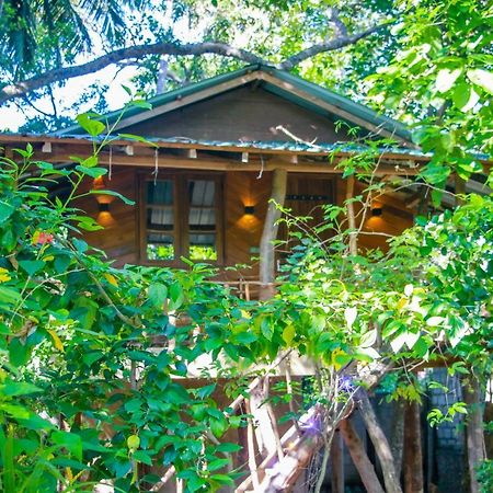 Hotel Dambulla Wilderness World 외부 사진