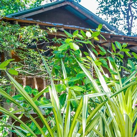 Hotel Dambulla Wilderness World 외부 사진