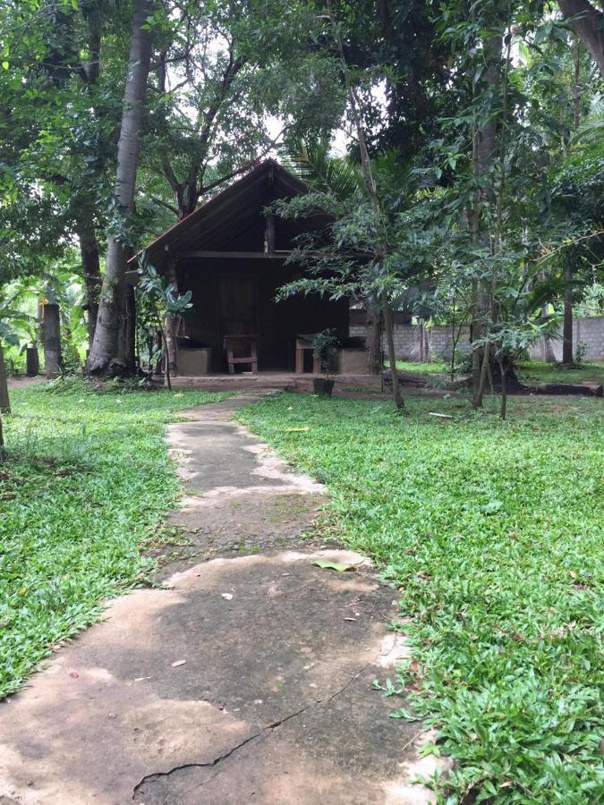 Hotel Dambulla Wilderness World 외부 사진
