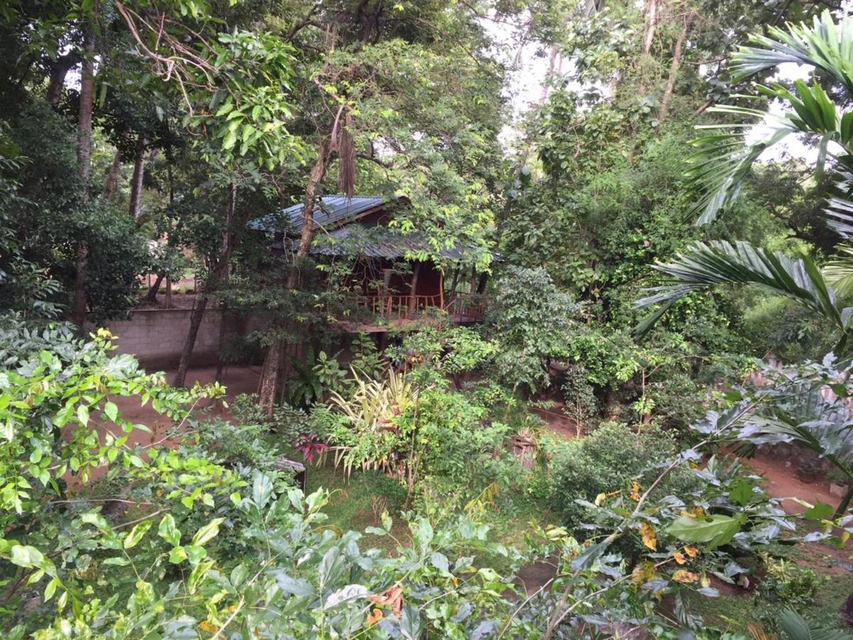 Hotel Dambulla Wilderness World 외부 사진
