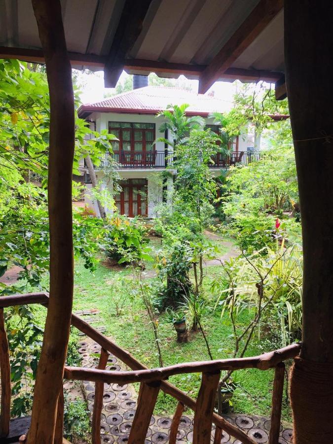 Hotel Dambulla Wilderness World 외부 사진