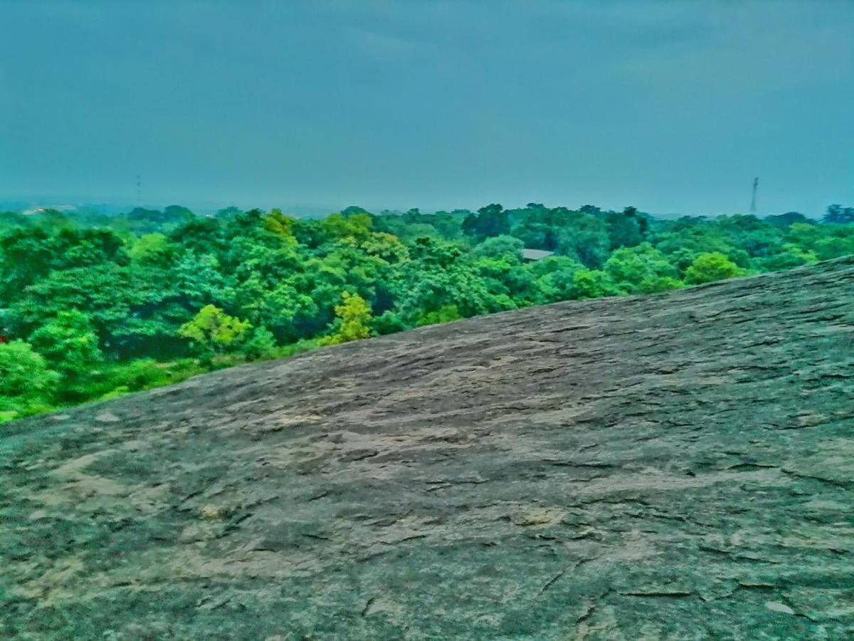 Hotel Dambulla Wilderness World 외부 사진
