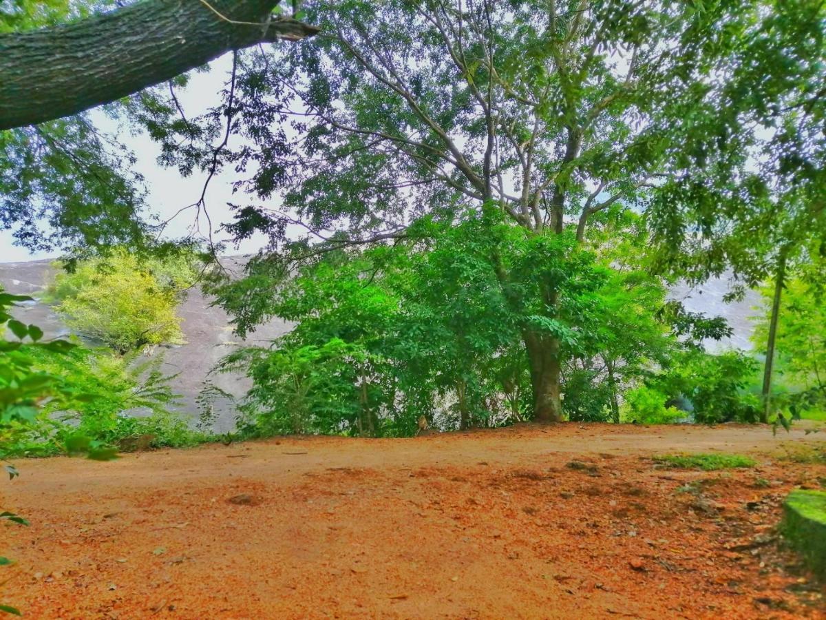 Hotel Dambulla Wilderness World 외부 사진