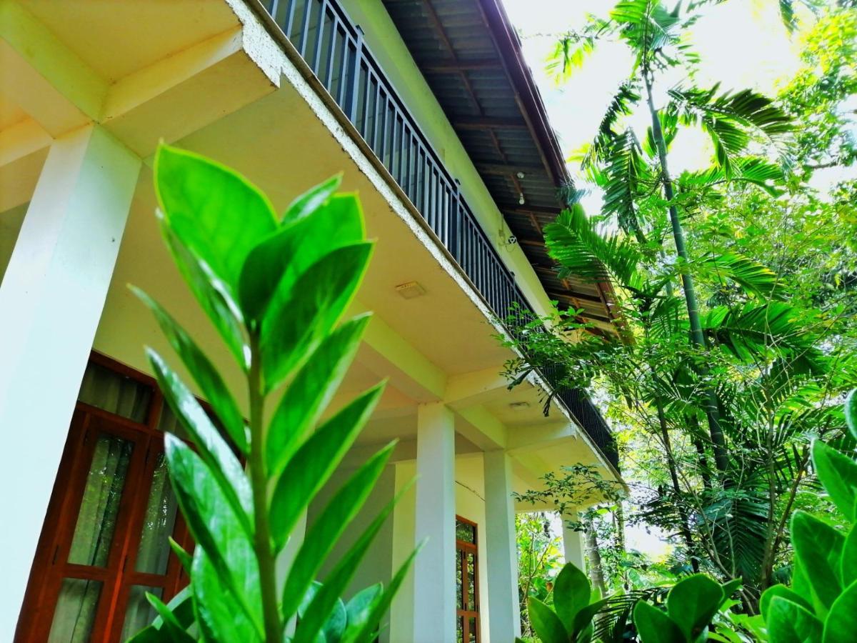 Hotel Dambulla Wilderness World 외부 사진