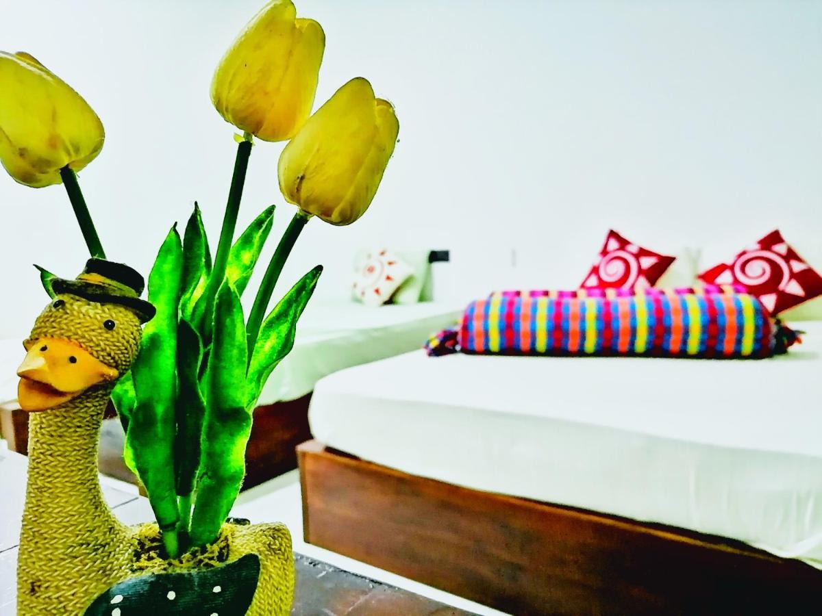 Hotel Dambulla Wilderness World 외부 사진