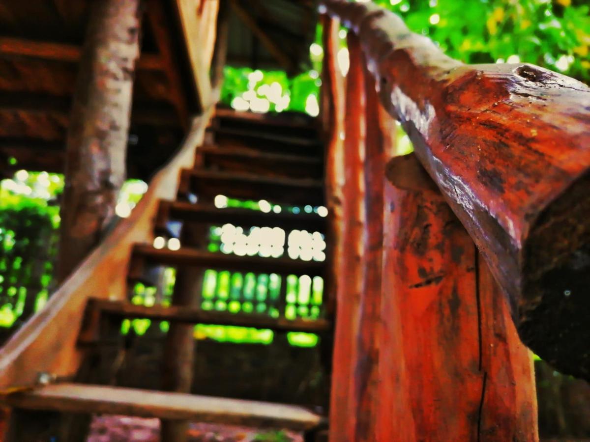 Hotel Dambulla Wilderness World 외부 사진