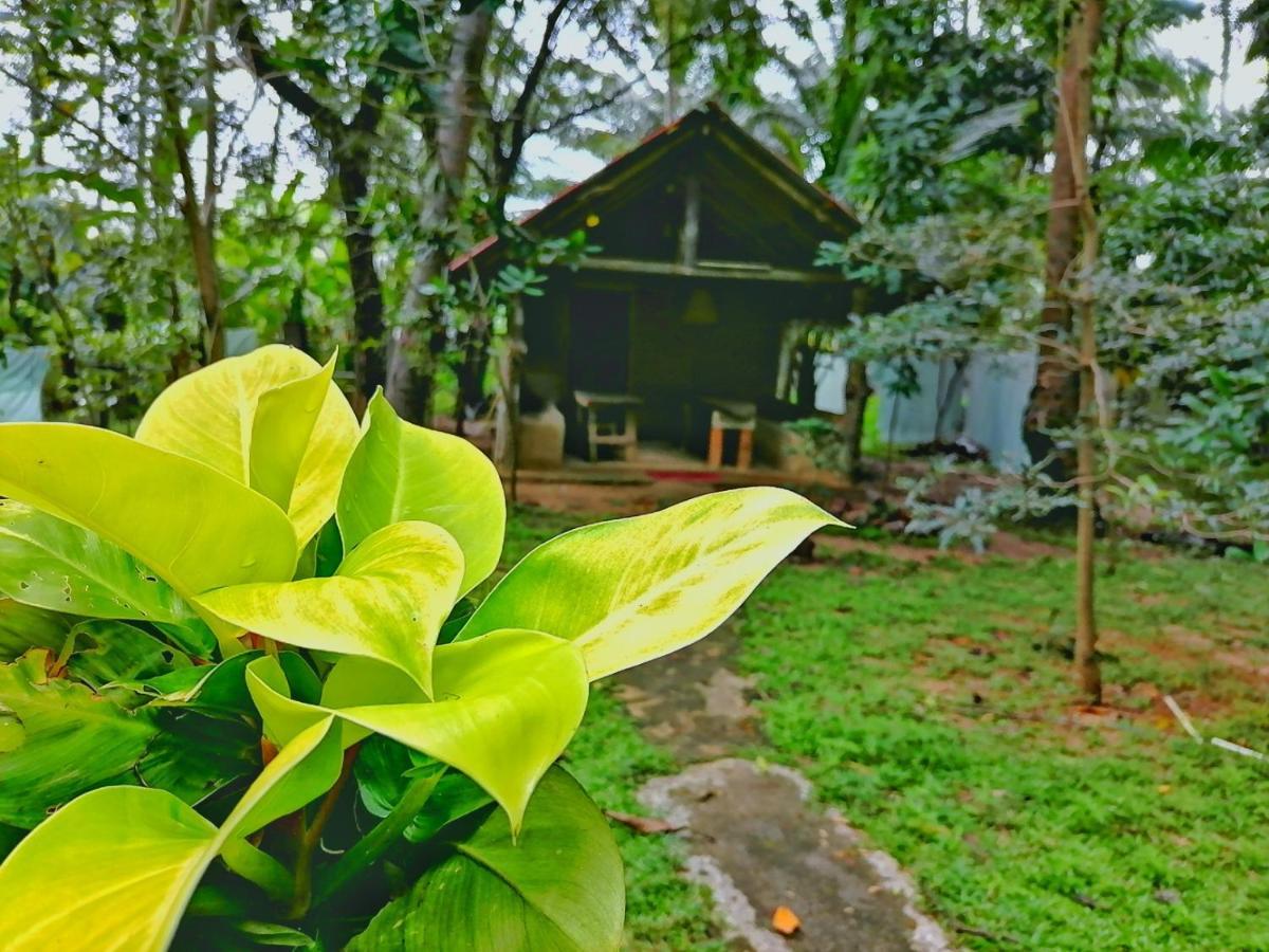 Hotel Dambulla Wilderness World 외부 사진