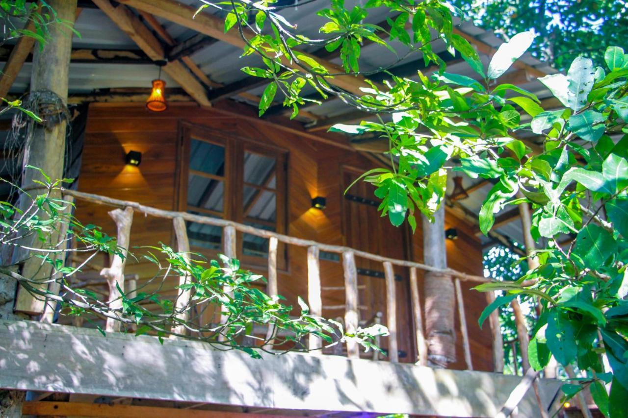 Hotel Dambulla Wilderness World 외부 사진