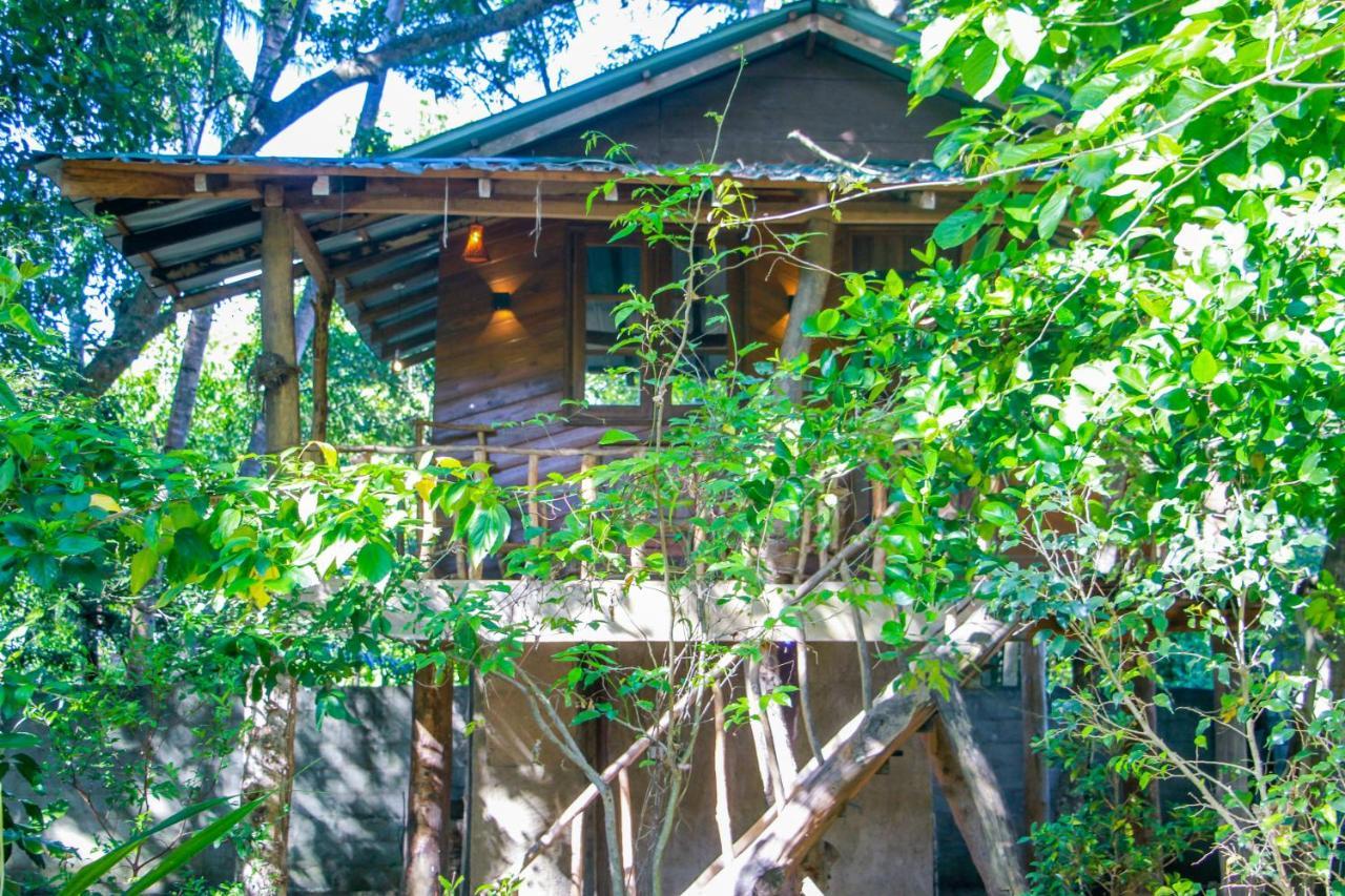 Hotel Dambulla Wilderness World 외부 사진